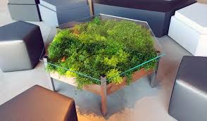 Habitat Horticulture Jardin Interieur Terrarium Table Basse Table Basse Aquarium