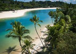 Best Beaches In Singapore For Kids Honeykids Asia