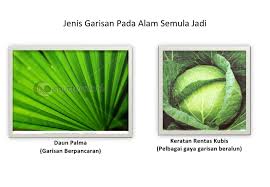 Aplikasi garisan pada karya seni. Asas Seni Reka