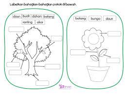 Savesave lembaran kerja tema bunga for later. Eee Kid Noise Publicacoes Facebook