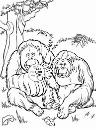 Orangutans Coloring Page For Kids Animal Coloring Pages Printables Free Wuppsy Com Zoo Animal Coloring Pages Zoo Coloring Pages Animal Coloring Pages