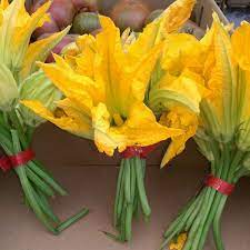 I can definatly see how svb can kill a yellow squash/ zucchini plant much easier than a vining squash plant. Squash Blossom Wikipedia