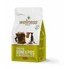 A pet store guinea pig purchase is often unplanned and unresearched. Padovan Wellness Guinea Pigs 1 Kg Largest Pet Store In Uae