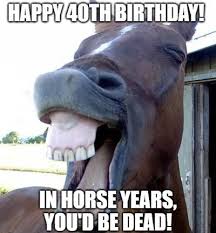 Because the great milestones like 40 are a great time for many to poke fun at aging. 20 Funny Birthday Wishes For Horse Lovers Funny Birthday Wishes