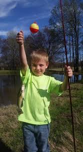 Channel catfish grow best in warm waters and the average size is 2 to 3 pounds. Stocking New Ponds With Fish Is A Process Agrilife Today