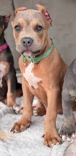 Jacob Griest's Instagram, Twitter & Facebook