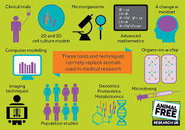 Cell culture is also useful in producing drugs, vaccines or other biological materials useful in human medicine and scientific research. Animalfreeresearchuk On Twitter How Can We Replace Animals Used In Medical Research There Are Many Tools And Techniques That Can Help Us