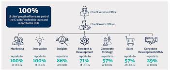 Image Result For Organizational Structure For Digital Marketing Marketing Innovation Direct Mail Marketing Officer