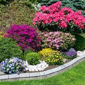 Les secrets de la réussite. Comment Faire Un Massif De Fleurs