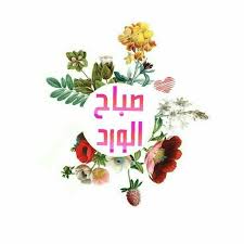 سيأتي الحلم في مشكآة فجر وعند الصبح تبتسم الأمآني وتتحقق الأمال ويشرق الكون بنور فسيح تضيء له آركان الحياة صباح الخير islamic pictures morning wish new day