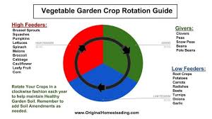 vegetable garden crop rotation must have handy garden guide