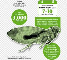 Maybe you would like to learn more about one of these? Black Death In The Wake Of The Plague Bubonic Plague Yersinia Pestis Others Grass Fauna Infection Png Pngwing