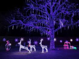 We've rounded up the best sparkle and shine for your home's exterior. The Most Spectacular Christmas Lights Around Fort Worth In 2020 Culturemap Fort Worth