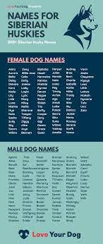 Dog names often reflect similar trends as seen with human baby names, and like baby names, dog names ebb and flow in popularity. Siberian Husky Dog Names 200 Different Male Female Names