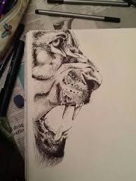 Annie Fine Art Shop Redbubble Animal Drawings Art Art Drawings