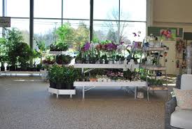 The New Petitti Garden Centers In 2020 Garden Center Live Plants Indoor Plants