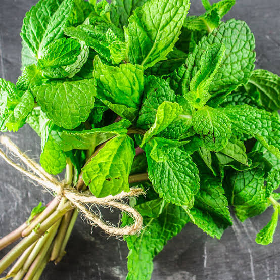 Poivre Mint Entier