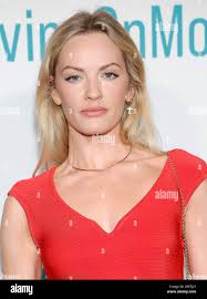 Moving into lucy hi-res stock photography and images