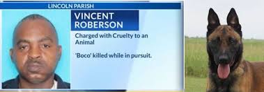 Suspect in K-9 murder enters not-guilty plea