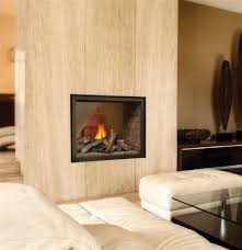 4.4 out of 5 stars. Napoleon Ascent Multi View Direct Vent Fireplace