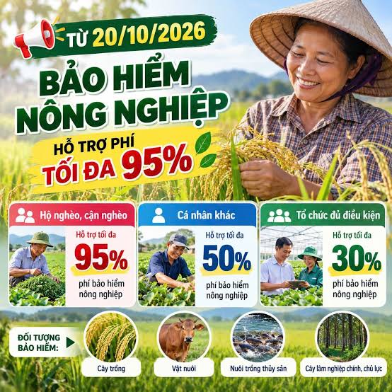 Từ 20/10/2026, hỗ trợ phí bảo hiểm nông nghiệp tối đa 95%
