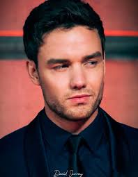 Liam Payne memories and love from fans