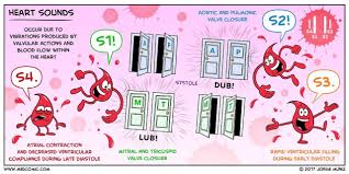 Art Of A Pa C Photo Heart Sounds Nursing Mnemonics Nursing School Survival