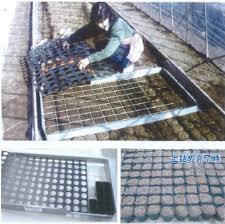 イケックス「養液栽培肥料・資材とハウス機器の販売」