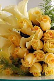 Join our community of happy customers in guelph by ordering and supporting your local florist, floral images. Best Romantic Flowers For Girlfriend Cosmeagardens