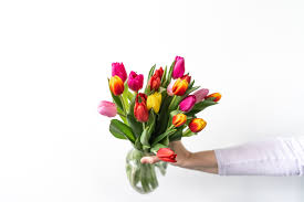 From birthday parties to weddings, anniversaries, illnesses, and funerals, flowers are a part of all special and important occasions. What Is The Meaning Of Tulips