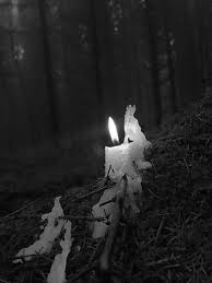 Burning Candle In The Woods Witchy Candle Magick Magick