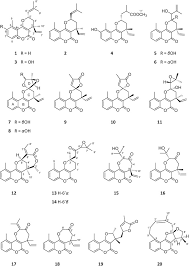 Image result for Ethulia vernonioides