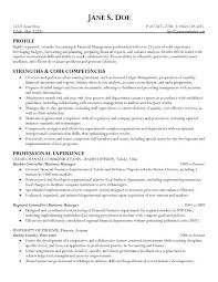 resume example business manager