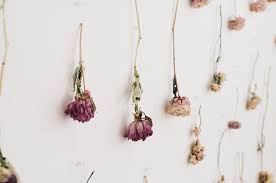 Check spelling or type a new query. Diy Ombre Dried Flower Wall Juliette Laura