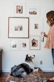 3 Tips To Combat Pet Odor With Febreze Thoughts By Brandi Pet Odors Pet Odor Eliminator Febreze