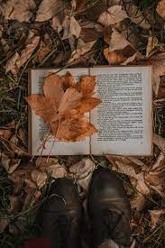 Autumn Walk Vintage Book Autumn Photography Autumn Aesthetic Autumn Instagram