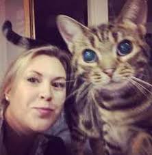 Top Cat Sitters in East St. Louis with Best Prices