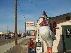 Pt 72 Nampa Idaho Rooster Is Mad He Heard They Fry Eggs In The Egg Factory Nampa Nampa Idaho Idaho