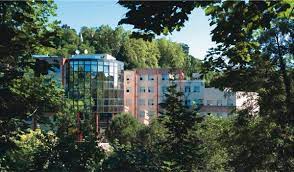 39 chemin de la vernique, écully, 69130, france. Clinique Du Val D Ouest