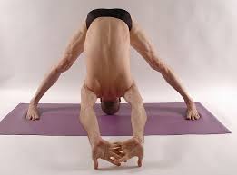 Prasarita Padottanasana C Yoga Poses For Men Yoga For Men Yoga Teacher Certification