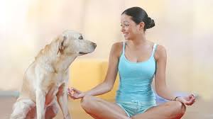 Call shelly's pet grooming in tempe,. The Surprising Benefits Of Chanting For Stressed Pets
