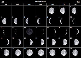 Pin On October 2015 Calendar