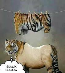 Buku horror bis malam penasaran. 97 Ide Dp Lucu Lucu Gambar Lucu Meme Lucu