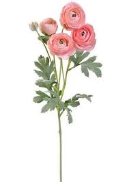 Pin On Flor Al To See