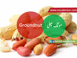 Fruits Name In Urdu Hindi And English With Pictures English Vocabulary Vocabulary Fruits Name With Picture