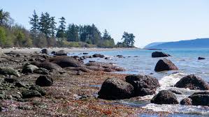 An island vacation on san juan island in…washington? San Juan Islands Leave No Trace Center Gold Standard Sites