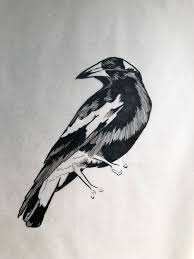Painted black and whiterealistic sketch magpie flight Australian Magpie Drawing