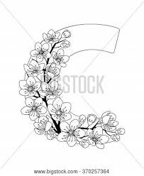 Top 10 letter c coloring pages for preschoolers: Capital Letter C Vector Photo Free Trial Bigstock