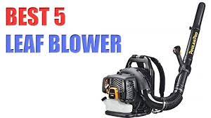 Top 5 Best Leaf Blowers 2020 Leaf Blowers Blowers Garden Power Tools