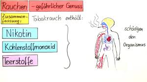 Kohlenmonoxid geht durch wände, decken und böden. Rauchen Ein Gefahrlicher Genuss Ubungen Arbeitsblatter